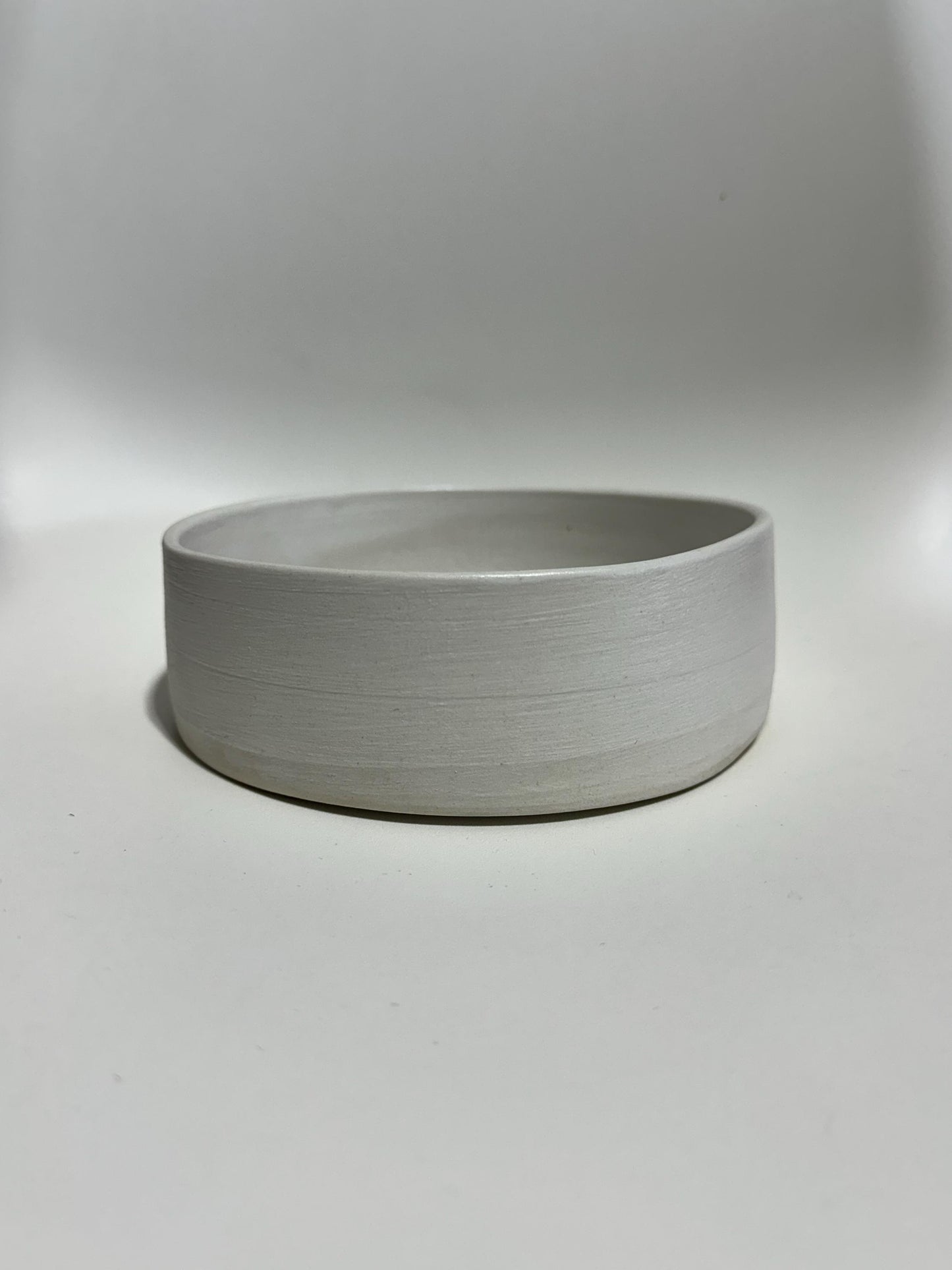 White Pet Bowl