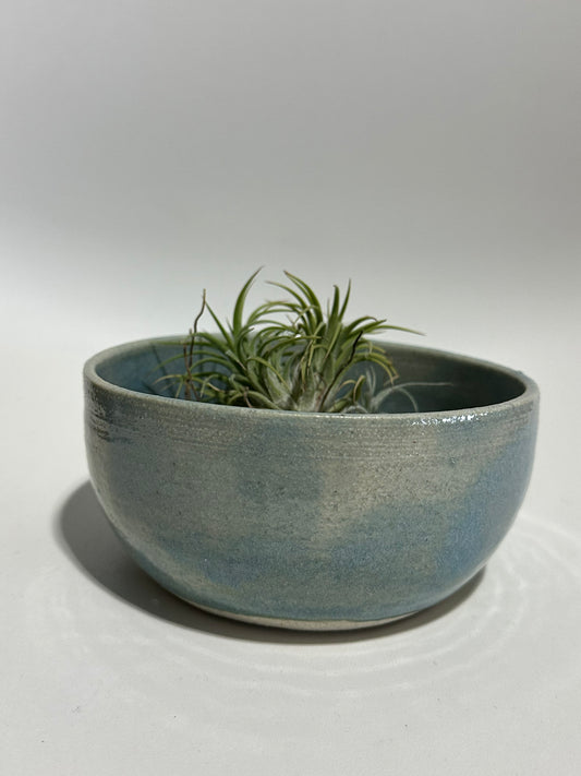 Blue Planter Bowl