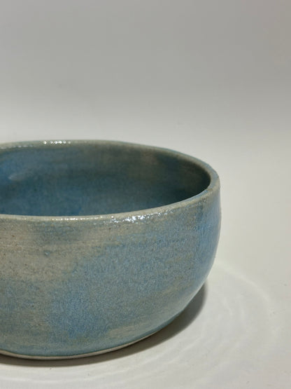 Blue Planter Bowl